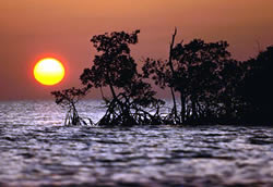 Everglades_National_Park