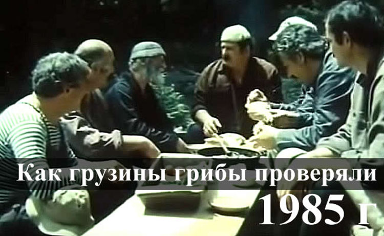 Юмор. Грузины хотели проверить грибы на съедобность Georgians mushrooms