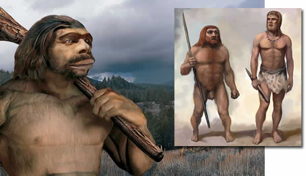 Homo neanderthalensis