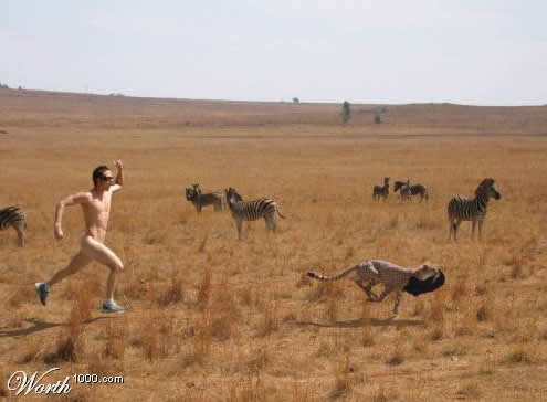 Украли штаны popal trusi