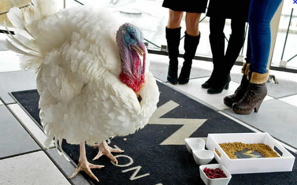 Thanksgiving obama2