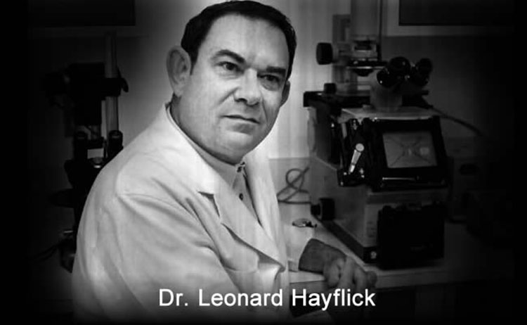 Leonard Hayflick