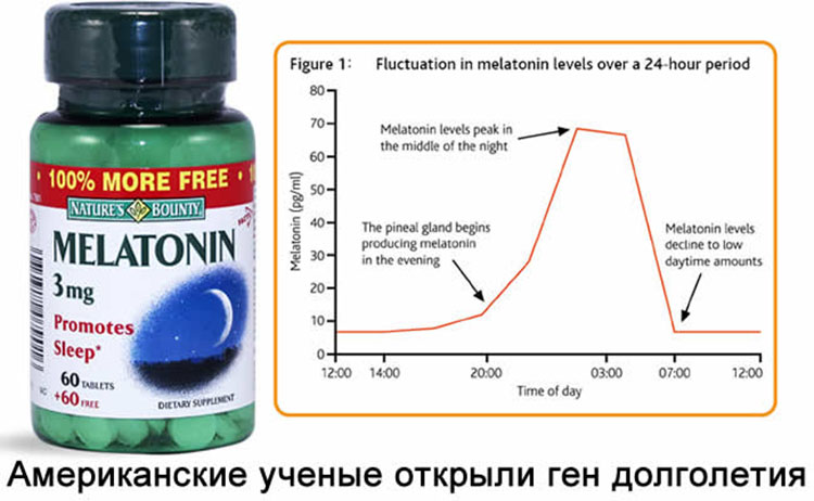 american melatonin