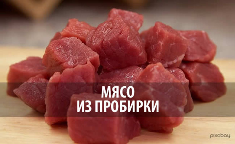 Мясо выращенное в лабораторной ферме fake meat