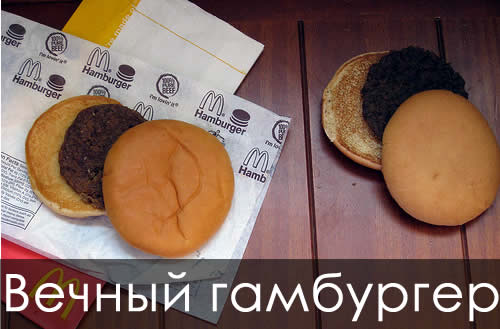 hamburger