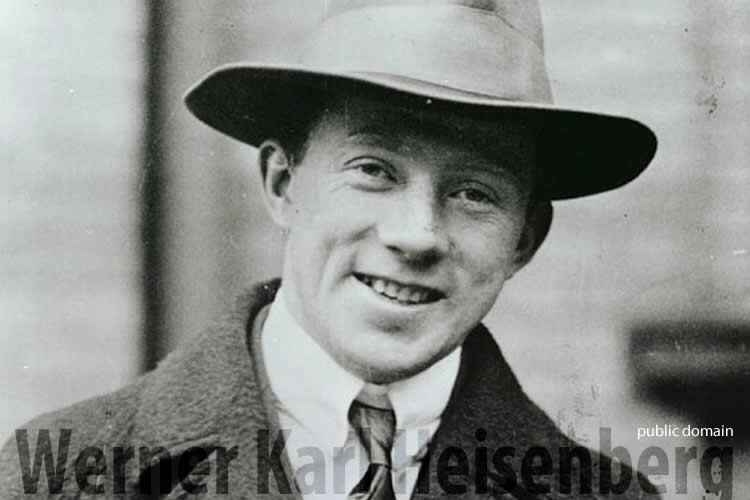 Трофейные мозги