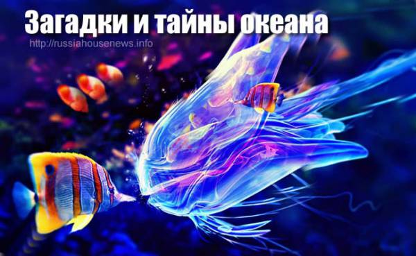 Загадки и тайны океана