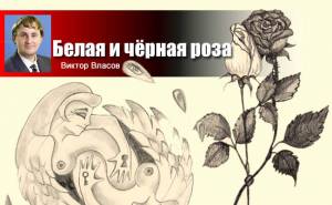 Белая и чёрная роза