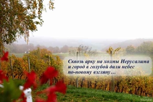 ВИКТОРИЯ ЛЕВИНА: Из цикла «ПРИБЛИЖАЯСЬ К ИЕРУСАЛИМУ»