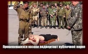 Переселенцы