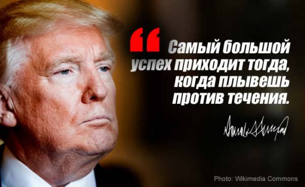 Лучшие цитаты и фразы